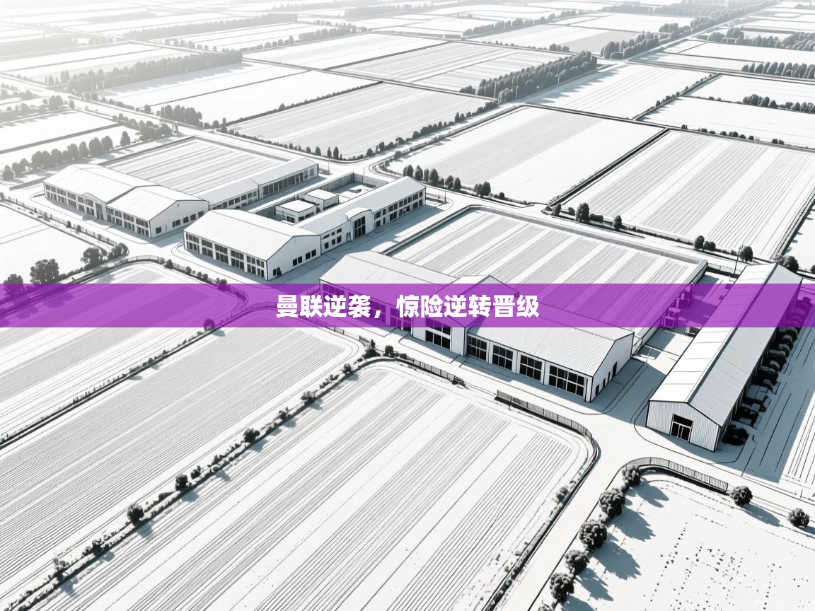 曼联逆袭，惊险逆转晋级  第1张