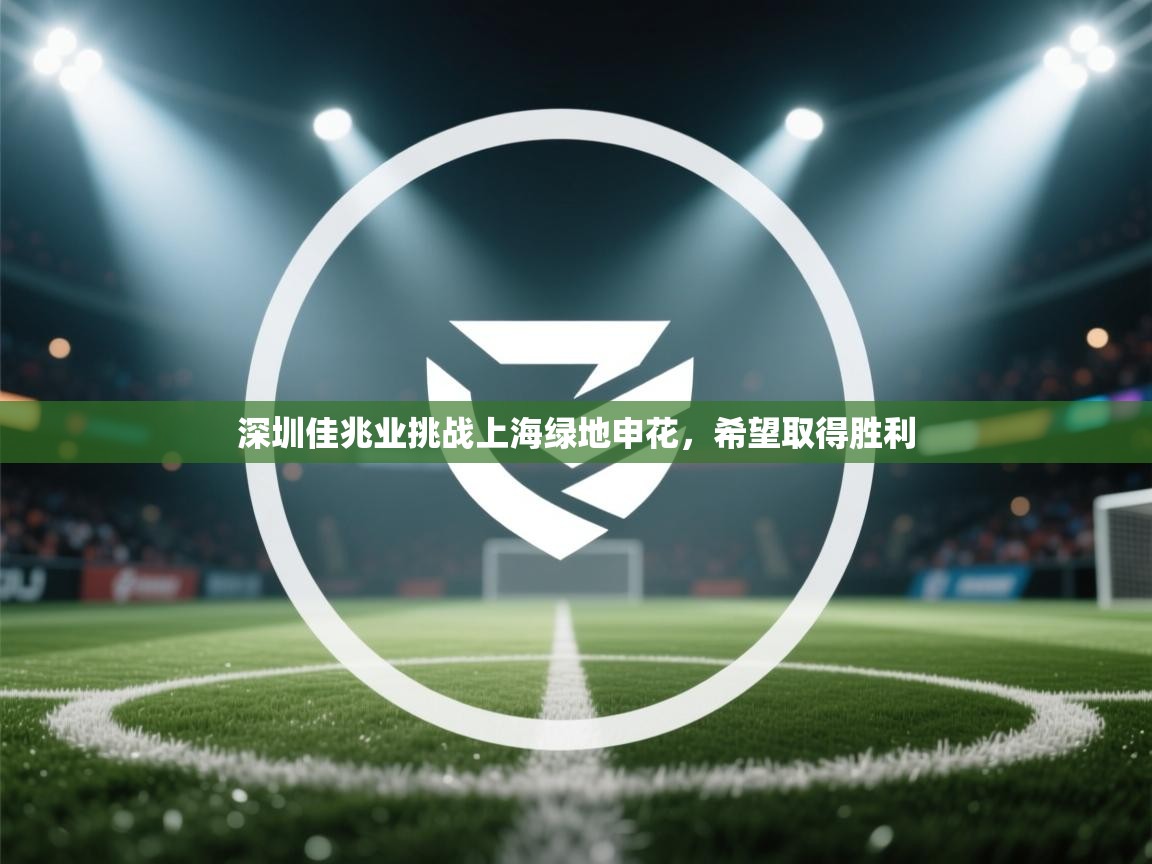 深圳佳兆业挑战上海绿地申花，希望取得胜利  第2张